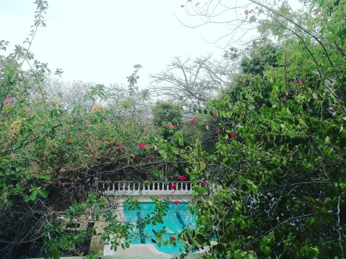 Jardin Etnobotanico Villa Ludovica Санта-Марта Екстер'єр фото
