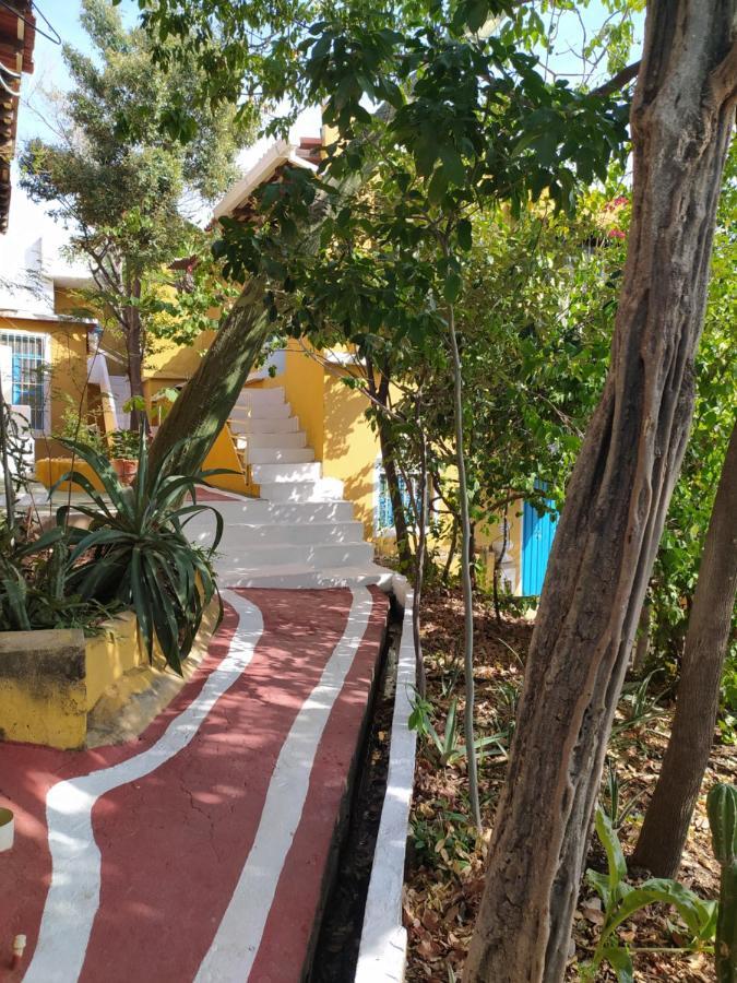 Jardin Etnobotanico Villa Ludovica Санта-Марта Екстер'єр фото