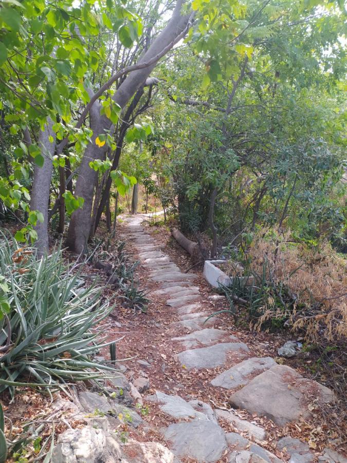 Jardin Etnobotanico Villa Ludovica Санта-Марта Екстер'єр фото